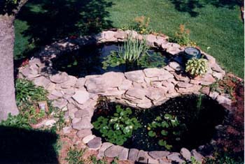 9WaterGarden