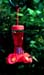 4Hummingbird